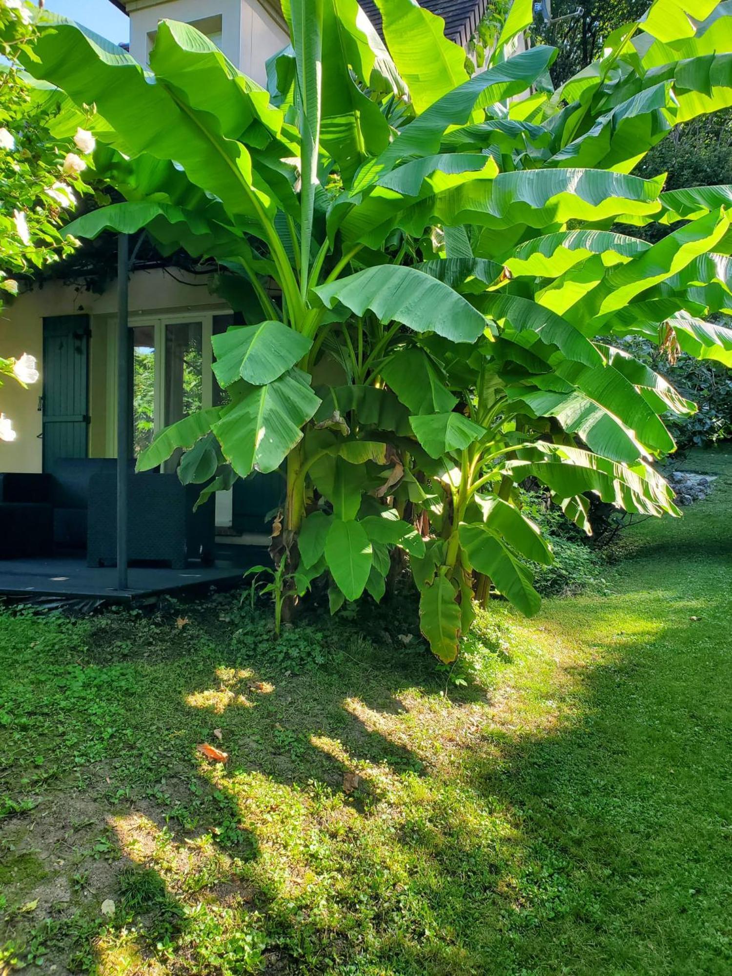 Belle Maison Sud Seine-Et-Marne Rubelles Екстер'єр фото
